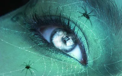 Dark Surreal Quad Close Green Fantasy Wallpaper 4K 2560x1600 Dark, Surreal, 2k, Quad, Hd, Pc, Desktop, Wallpaper, Close-up, Green-tinted, Eye, Veiled, Gray, Ultrawide, QHD