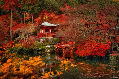 Serene Autumn Daigo Kyoto Japan Nature Wallpaper 4K 2400x1602 A, Serene, Autumn, Scene, At, Daigo-ji, In, Kyoto, Japan, Featuring, Vibrant, Fall, Brown, Landscape, Full HD