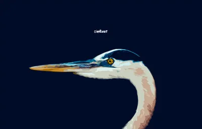 Vivid Minimalist Wallpaper Minimal Wallpaper 4K 2823x1807 Minimalist, Simple, Bird, Animal, Heron, Hd, Desktop, Wallpaper, Gray, Ultrawide, QHD