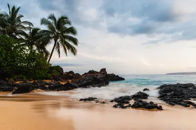 Vivid Serene Wallpaper Nature Wallpaper 4K 2048x1363 Hd, Pc, Desktop, Wallpaper, Of, A, Serene, Beach, Scene, Featuring, Palm, Trees, White, Gray, Ultrawide, Full HD