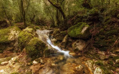 Calm Serene Wallpaper Nature Wallpaper 4K 1920x1200 Hd, Desktop, Wallpaper, Of, A, Serene, Forest, Stream, Flowing, Over, Moss-covered, Rocks, Brown, Ultrawide, Full HD