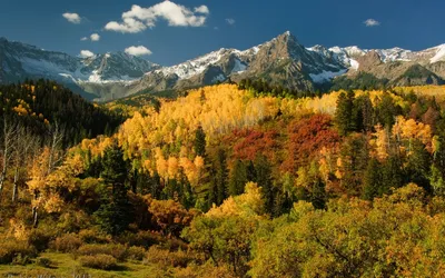 Vibrant Fall Landscape Nature Wallpaper 4K 1920x1200 Hd, Pc, Desktop, Wallpaper, Showcasing, A, Vibrant, Fall, Landscape, Colorful, Autumn, Trees, Brown, Ultrawide, Full HD