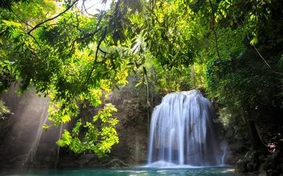 Capturing Serene Nature Sunlight Filtering Nature Wallpaper 4K 1920x1200 Hd, Pc, Desktop, Wallpaper, Capturing, A, Serene, Nature, Scene, Sunlight, Filtering, Through, White, Brown, Ultrawide, Full HD