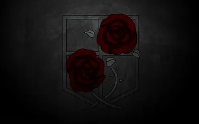 Attack Titan Anime Emblem Training Black/Dark Wallpaper 4K 1920x1200 A, Hd, Desktop, Wallpaper, Of, The, Attack, On, Titan, Anime, Featuring, Emblem, Black, Ultrawide, Full HD