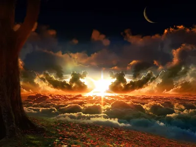 Moody Artistic Wallpaper Nature Wallpaper 4K 1600x1200 A, Stunning, Artistic, Sunset, Over, Swirling, Clouds, Illuminated, Radiant, Sunburst, Tranquil, Tree, White, Brown, Landscape