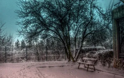 Snowy Tree Nature Nature Wallpaper 4K 1680x1050 Snowy, Tree, Gray, Ultrawide
