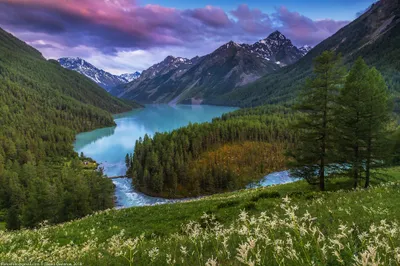 Serene Mountain Landscape Nature Wallpaper 4K 2000x1333 Hd, Desktop, Wallpaper, Of, A, Serene, Mountain, Landscape, Forested, Shoreline, Crystal-clear, Lake, Pink, Green, Gray, Ultrawide, Full HD