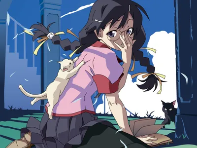 Anime Tsubasa Hanekawa Monogatari Series Animals Wallpaper 4K 3200x2400 Hd, Anime, Desktop, Wallpaper, Featuring, Tsubasa, Hanekawa, From, Monogatari, Series, Her, Cat, White, Red, Landscape, QHD