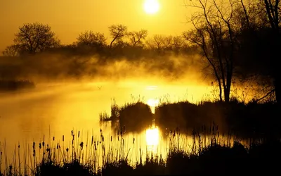Serene Lake Sunrise Enveloped Mist Nature Wallpaper 4K 1920x1200 A, Serene, Lake, At, Sunrise, Enveloped, In, Mist, Surrounded, Silhouettes, Trees, Enchanting, White, Yellow, Purple, Ultrawide, Full HD