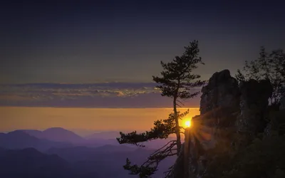Sunrise Illuminates Sky Sunbeams Filter Nature Wallpaper 4K 5843x3658 A, Stunning, Sunrise, Illuminates, The, Sky, As, Sunbeams, Filter, Through, Solitary, Tree, Brown, Ultrawide, 4k