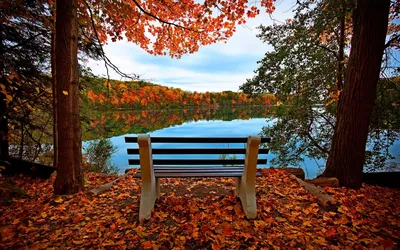 Serene Lake Surrounded Vibrant Nature Wallpaper 4K 1920x1200 Hd, Pc, Desktop, Wallpaper, Featuring, A, Serene, Lake, Surrounded, Vibrant, Autumn, Foliage, White, Ultrawide, Full HD