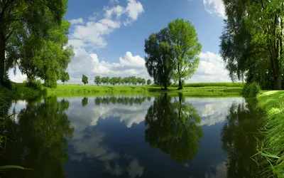 Serene Nature Tall Trees Blue Nature Wallpaper 4K 1920x1200 Hd, Pc, Desktop, Wallpaper, Showing, Serene, Nature, With, Tall, Trees, Blue, Sky, Gray, White, Ultrawide, Full HD