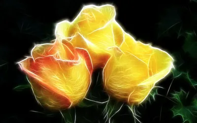 Artistic Fractal Vibrant Yellow Orange Black/Dark Wallpaper 4K 1680x1050 Hd, Desktop, Wallpaper, Featuring, An, Artistic, Fractal, Image, Vibrant, Yellow, Orange, Flowers, Purple, Ultrawide