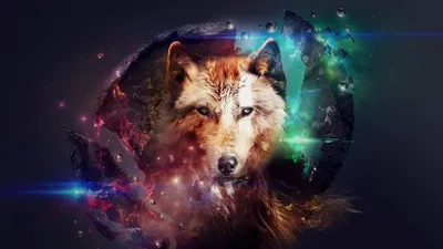 Wolf Face Overlaid Abstract Wallpaper 4K 2560x1440 Hd, Wallpaper, Of, A, Wolf's, Face, Overlaid, With, Wolf, 039, Cosmic, Colorful, White, Orange, Ultrawide, QHD