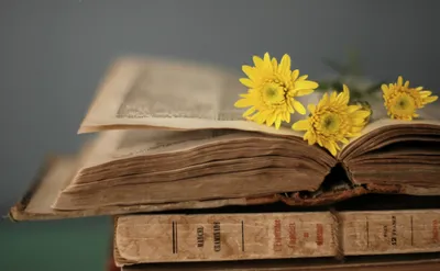 Golden Artistic Wallpaper Nature Wallpaper 4K 1999x1233 An, Artistic, Hd, Desktop, Wallpaper, Featuring, Open, Book, Adorned, Bright, Yellow, Flowers, Gray, Brown, Ultrawide, Full HD