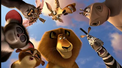 Calm Main Wallpaper Nature Wallpaper 4K 1920x1080 Hd, Pc, Desktop, Wallpaper, Featuring, Main, Characters, From, Movie, Madagascar, Europe, Most, Brown, Gray, Ultrawide, Full HD