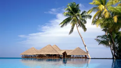 Crisp Thatched Wallpaper Nature Wallpaper 4K 1920x1080 A, Stunning, Hd, Desktop, Wallpaper, Featuring, Thatched-roof, Building, Tranquil, Sea, Surrounded, Palm, White, Pink, Ultrawide, Full HD