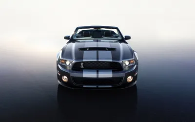 Vibrant Front Wallpaper Cars Wallpaper 4K 2560x1600 Front, View, Of, A, Ford, Mustang, Vehicle, With, Twin, Racing, Stripes, Reflected, White, Ultrawide, QHD