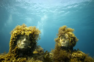 Bright Underwater Wallpaper Abstract Wallpaper 4K 2048x1365 Underwater, Hd, Wallpaper, Featuring, Two, Man-made, Statues, Covered, Marine, Growth, Submerged, Clear, Gray, White, Ultrawide, Full HD