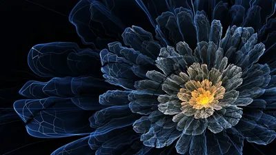 Sleek Abstract Wallpaper Wallpaper 4K, Abstract category