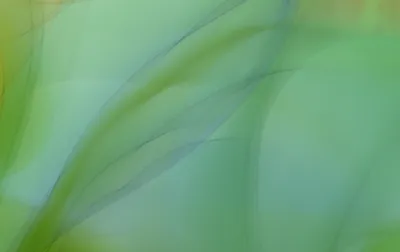 Dark Abstract Wallpaper Nature Wallpaper 4K 3968x2507 Gray