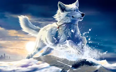 Wolf Running Water Sunset Effortlessly Animals Wallpaper 4K 3000x1875 Hd, Image, Of, A, Wolf, Running, Through, Water, Captured, Against, Stunning, Sunset, White, Ultrawide, QHD