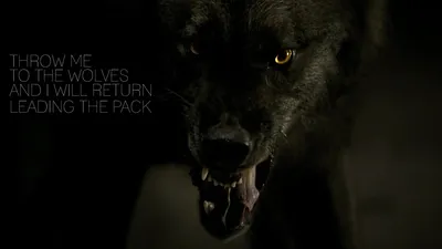 Fierce Wolf Glowing Eyes Snarls Animals Wallpaper 4K 1920x1080 A, Fierce, Wolf, With, Glowing, Eyes, Snarls, Set, Against, Dark, Captures, Wild, Ultrawide, Full HD