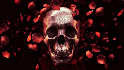 Dark Gothic Detailed Skull Black/Dark Wallpaper 4K 2560x1440 A, Dark, Gothic, Hd, Pc, Desktop, Wallpaper, Featuring, Detailed, Skull, Surrounded, Floating, Gray, Black, Ultrawide, QHD