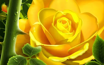 Artistic Vibrant Yellow Rose Full Abstract Wallpaper 4K 1920x1200 Hd, Artistic, Desktop, Wallpaper:, Featuring, A, Vibrant, Yellow, Rose, Full, Bloom, Surrounded, Purple, Ultrawide, Full HD