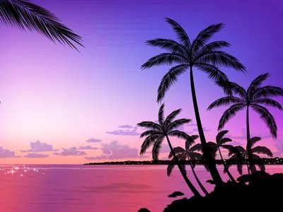 Serene Beach Sunset Ocean Adorned Nature Wallpaper 4K 1600x1200 Hd, Desktop, Wallpaper:, Featuring, A, Serene, Beach, At, Sunset, Ocean, Adorned, Silhouettes, Brown, Orange, Landscape