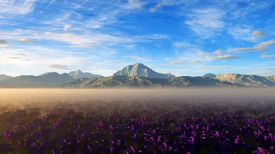 Scenic Landscape Foggy Field Pink Nature Wallpaper 4K 1920x1080 Hd, Desktop, Wallpaper:, Featuring, A, Scenic, Landscape, With, Foggy, Field, Pink, Flowers, White, Ultrawide, Full HD