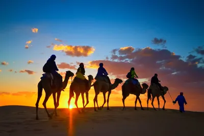 Camel Desert Photography Cars Wallpaper 4K 2048x1365 Red, Brown, Full HD, Ultrawide