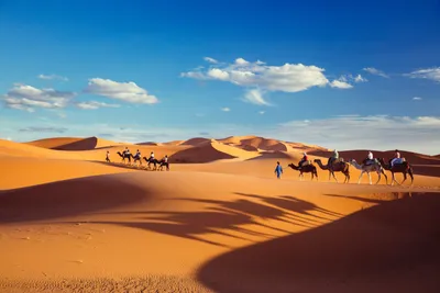 Sand Dune Desert Cars Wallpaper 4K 6000x4000 Purple, Orange, Red, Landscape, 4k