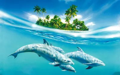Calm Dolphins Wallpaper Abstract Wallpaper 4K 1920x1200 Hd, Desktop, Wallpaper, And, Background, Featuring, Dolphins, Swimming, Clear, Blue, Water, Tropical, Yellow, Pink, Red, Ultrawide, Full HD