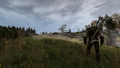 Witcher Wild Hunt Nature Wallpaper 4K 5120x2880 Gray, Ultrawide, 4k