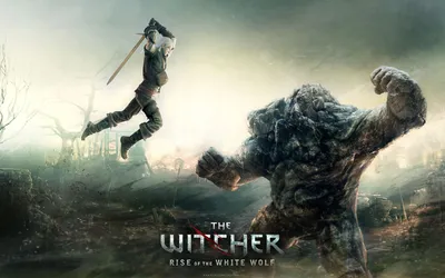 Witcher Video Game Geralt Leaps Games Wallpaper 4K 1920x1200 White, Full HD, Ultrawide
