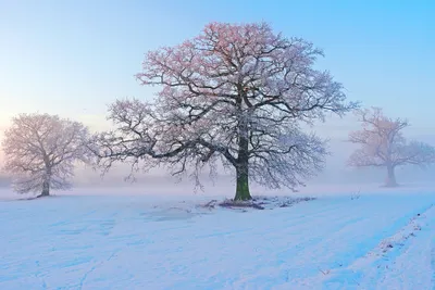 Dark Serene Wallpaper Wallpaper 4K, Nature category