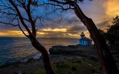 Lighthouse Trees World World Wallpaper 4K 2560x1600 View, Of, Lighthouse, Through, The, Trees, Gray, Ultrawide, QHD