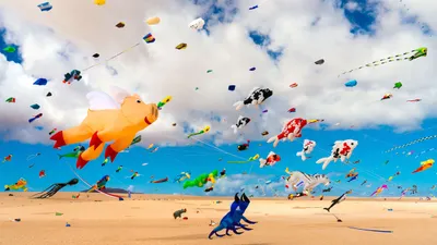 Kite Photography Beach Nature Wallpaper 4K 5000x2813 White, Ultrawide, 4k