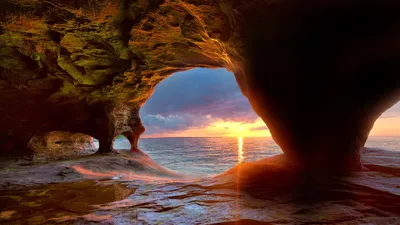 Bold Capturing Wallpaper Wallpaper 4K, Nature category