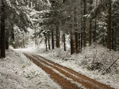 Bold Dirt Wallpaper Nature Wallpaper 4K 1920x1440 A, Dirt, Road, Winds, Through, Snow-covered, Pine, Forest, Winter, Serene, Scenic, Path, Gray, Landscape, Full HD