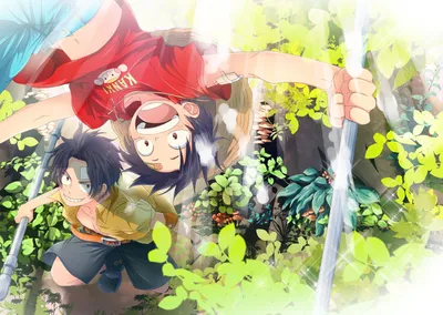 Epic Portgas Wallpaper Abstract Wallpaper 4K 1444x1024 The, Hd, Wallpaper, Features, Portgas, D., Ace, And, Monkey, Luffy, Anime, One, White, Landscape