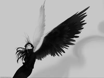 Calm Dark Wallpaper Black/Dark Wallpaper 4K 3200x2400 A, Dark, Angel, With, Striking, Black, And, White, Wings, Stands, Poised, Against, Gray, Landscape, QHD