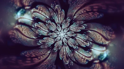 Dreamy Abstract Wallpaper Black/Dark Wallpaper 4K 2560x1440 Abstract, Fractal, Flower, With, Intricate, Layered, Petals, In, Dark, Moody, Tones, Rendered, Gray, Ultrawide, QHD