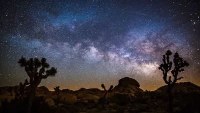 Night Sky Joshua Tree Nature Wallpaper 4K 1920x1080 Night, Sky, Over, Joshua, Tree, National, Park, With, Milky, Way, Arching, Above, Gray, Ultrawide, Full HD