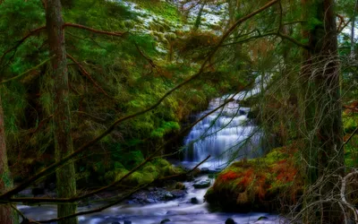 Misty Serene Wallpaper Nature Wallpaper 4K 1680x1050 A, Serene, Waterfall, Cascades, Through, Lush, Greenery, Surrounded, Tall, Trees, Vibrant, Moss, Gray, Ultrawide