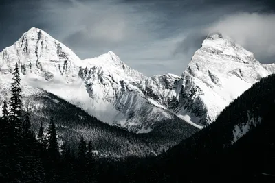 Vivid Black Wallpaper Nature Wallpaper 4K 6000x4000 Black, And, White, Hd, Wallpaper, Of, Snowy, Peaks, Surrounded, Forest, Natural, Scenery, Landscape, 4K