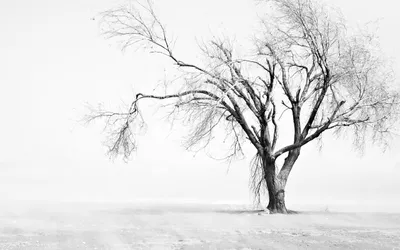 General Wallpaper 2560x1600 Nature Wallpaper 4K 2560x1600 White, Ultrawide, QHD