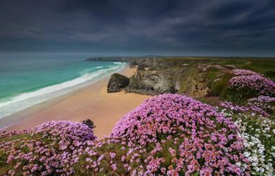 Golden Cornwall Wallpaper Nature Wallpaper 4K 4700x3005 4K, Ultra, Hd, Desktop, Wallpaper, Cornwall, England, Coast, Pink, Cliff, Flowers, Overlooking, Brown, Gray, Ultrawide