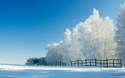 Snow Covered Park Nature Wallpaper 4K 2560x1600 Hd, Desktop, Wallpaper, Showing, A, Snow-covered, Park, With, Wooden, Fence, Frosted, Trees, Red, Pink, Ultrawide, QHD